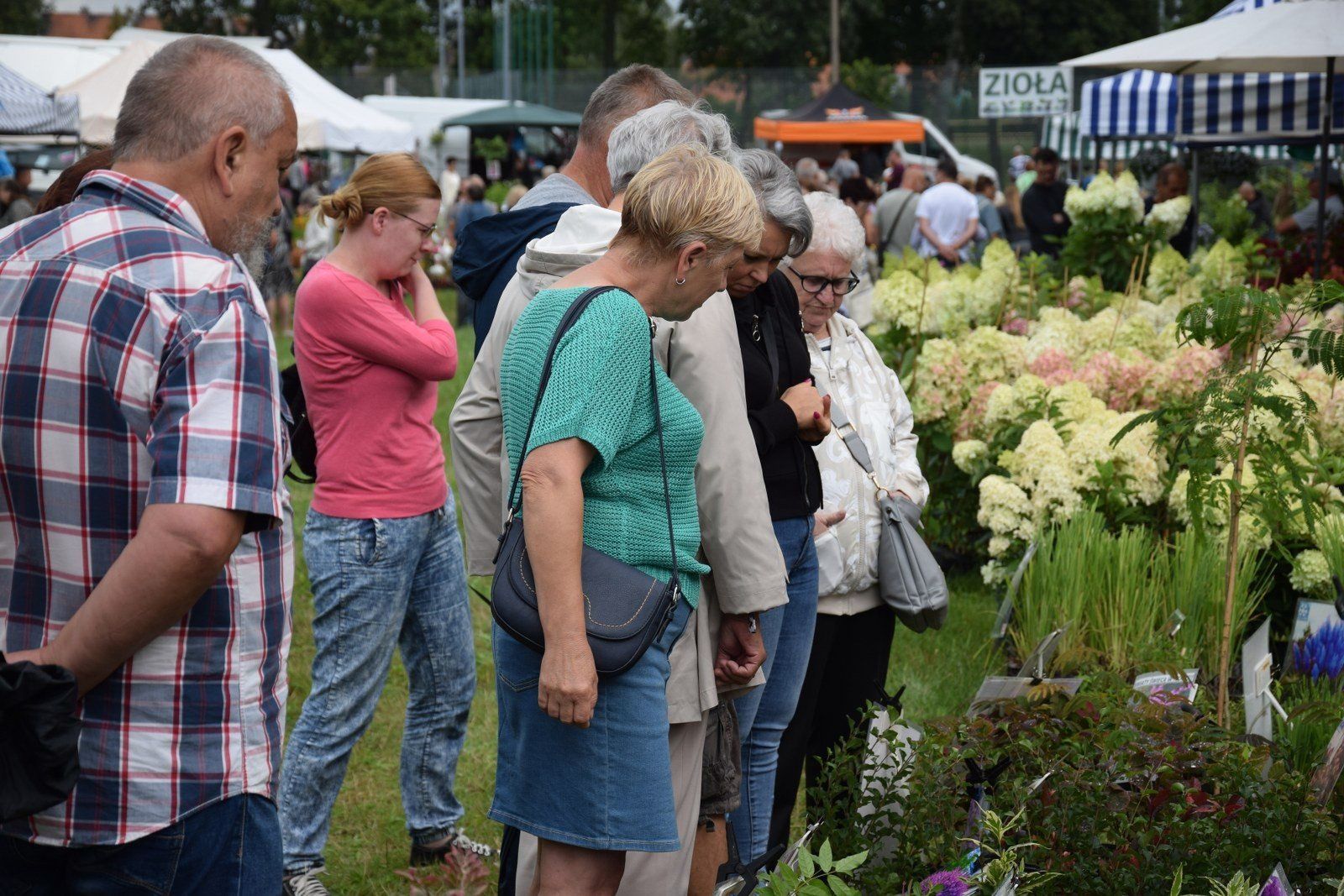 Święto Kwiatów i Muzyki w Zduńskiej Woli Karsznicach wypełnione zapachem i kolorami