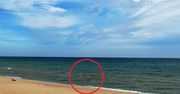 Była 13:21. Taki widok na plaży we Władysławowie