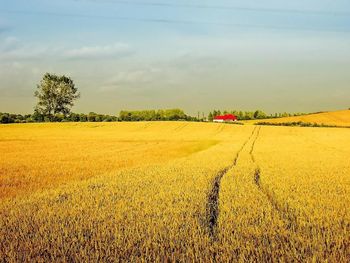 Agraves dołącza do Polskiego Stowarzyszenia Zrównoważonego Rolnictwa i Żywności