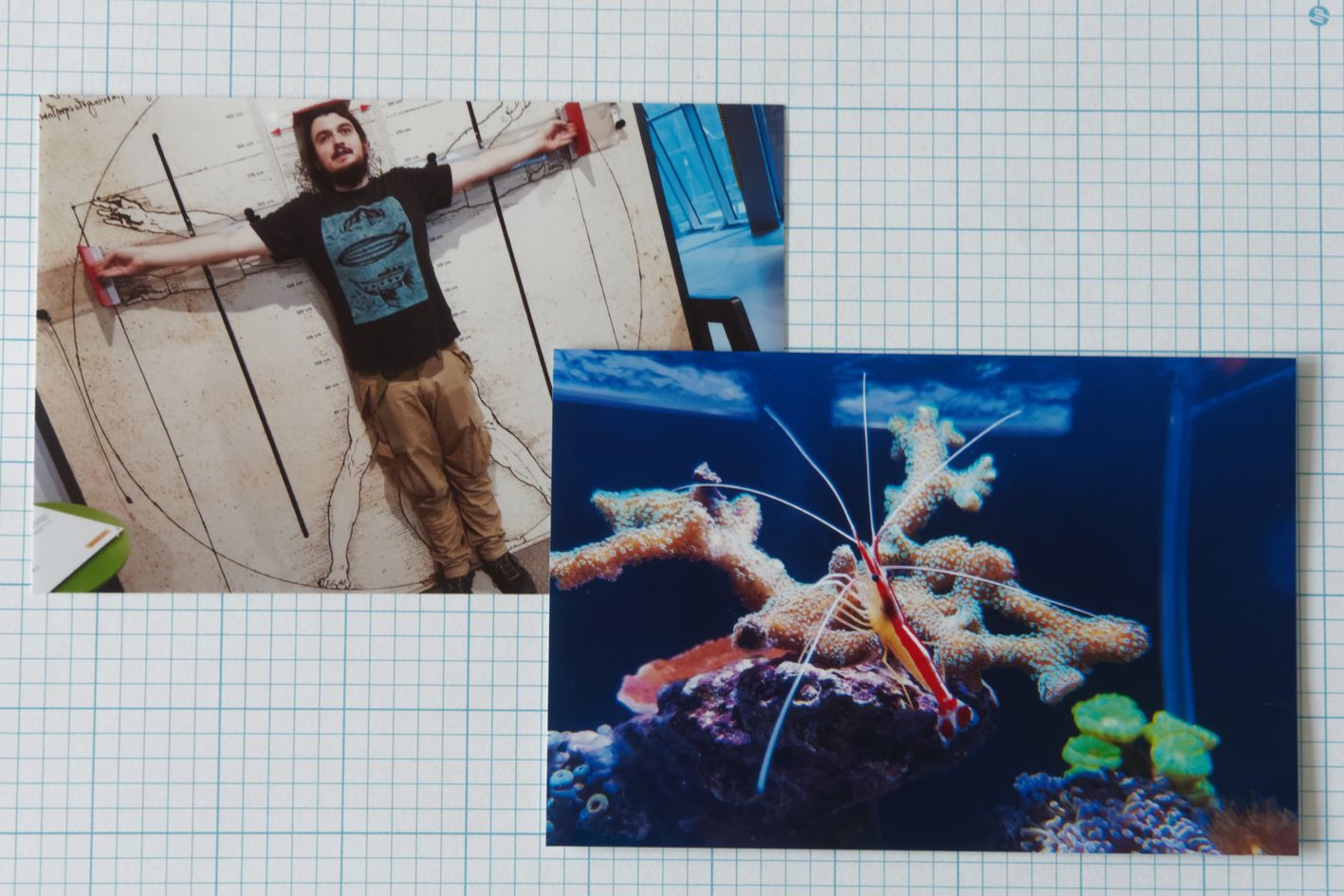 Wydrukowane zdjęcia 