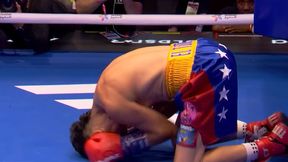 Brutalny nokaut na gali Joshuy. Wystarczyło zaledwie 91 sekund [WIDEO]