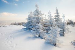 Istnieją w sumie "cztery zimy". Kiedy wypada i jak długo potrwa astronomiczna zima w tym roku?