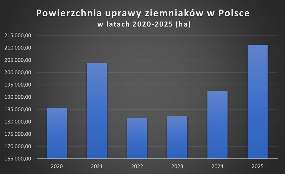 Wykres. Powierzchnia uprawy ziemniaków w Polsce (dane ARiMR)