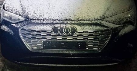 Znaleźli Audi w krzakach. Nowiutkie auto zostało porzucone