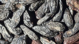 W USA zakazana, w Polsce nadal w użyciu. Ta przyprawa wciąż budzi spory