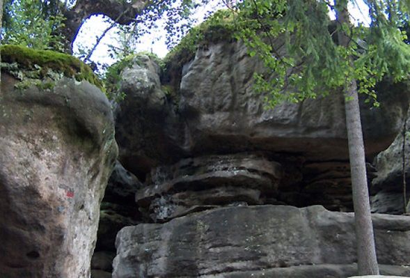 Obraz