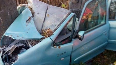 Kierowca citroena uderzył w drzewo
