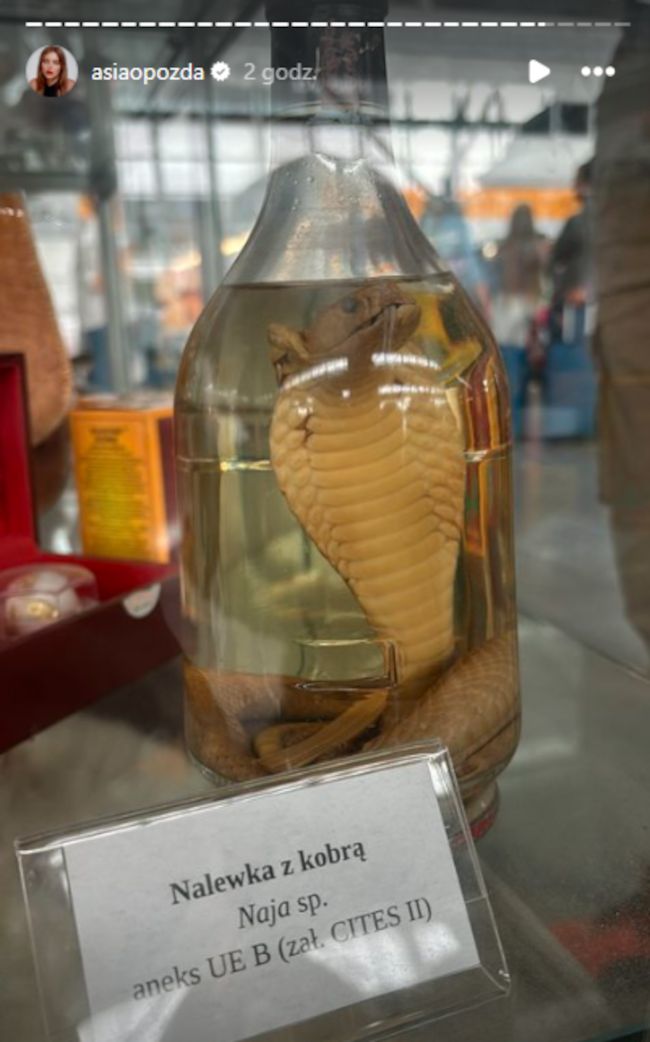 Relacja Joanny Opozdy. Szokujące słowa innej podróżnej