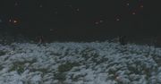 Sekiro - Noob dies twice