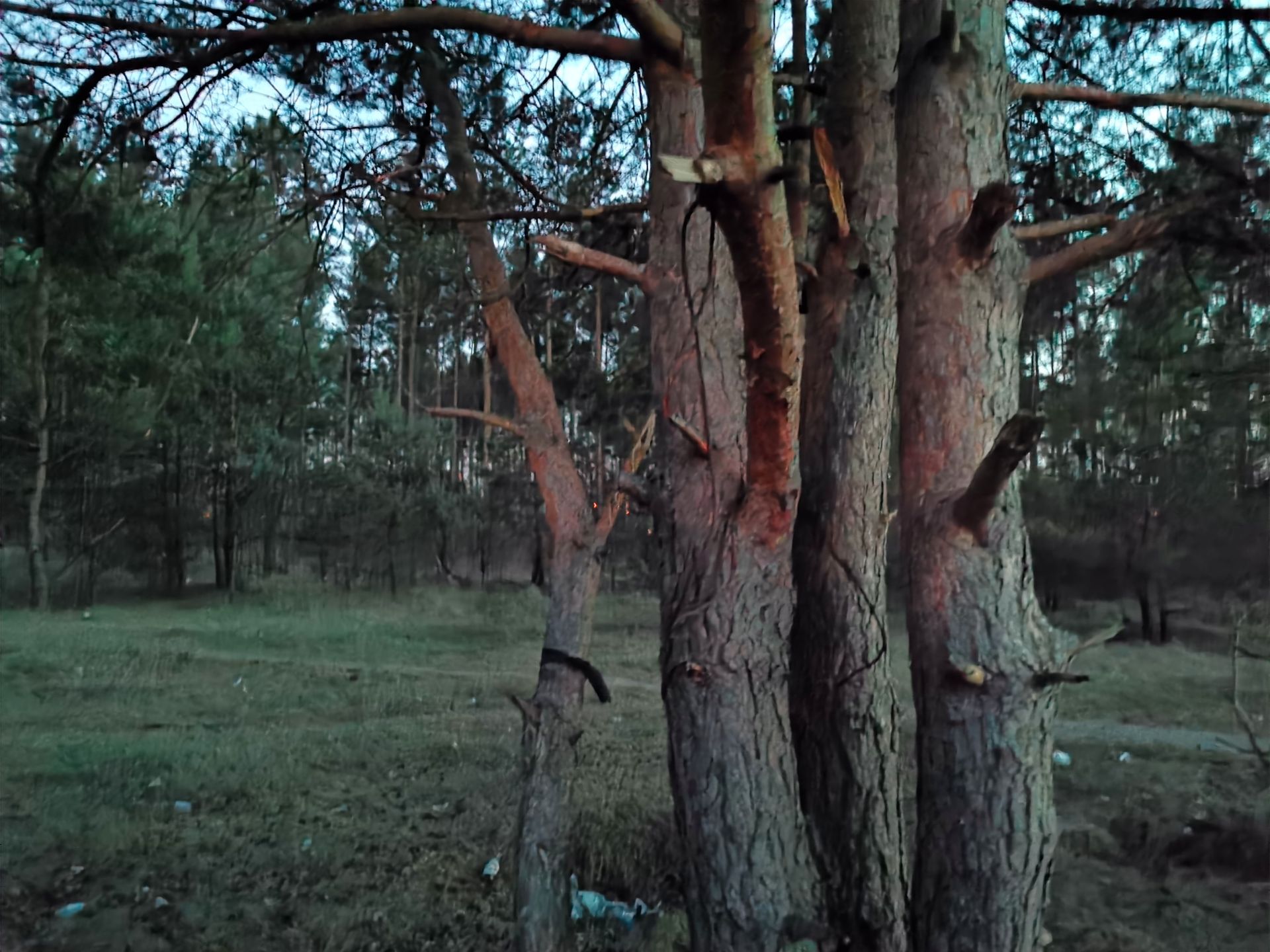 Czy Huawei P30 Pro ma... zbyt dobry aparat? 2
