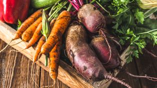 Kraków: Na UJ wynaleźli pogromcę chorób grzybowych. Może ochronić zboże, ziemniaki i pomidory