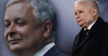 500 tys. zł na tulipany. Były skarbnik PiS ujawnia, na co politycy chcieli wydawać pieniądze