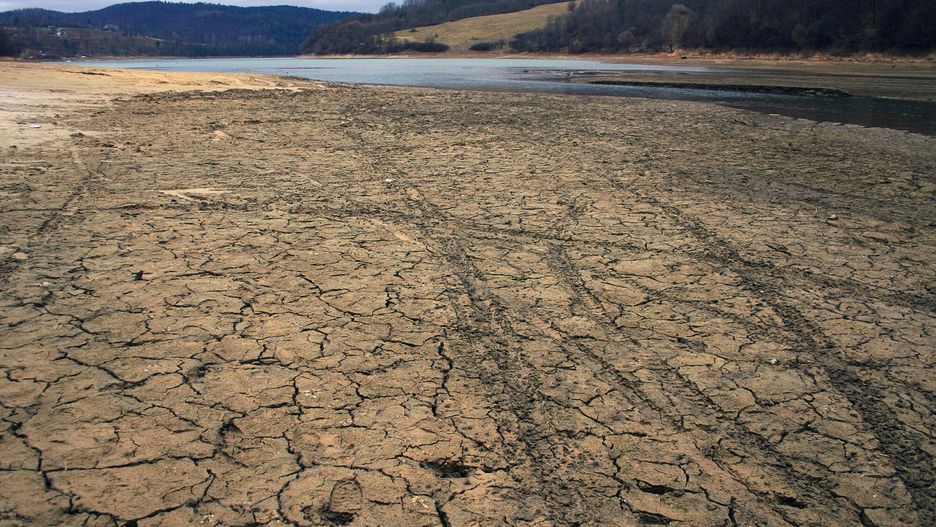 zdjęcie ilustracyjne