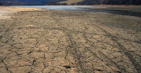 Niżówka hydrologiczna w Polsce. Ekspert bije na alarm