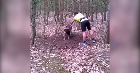 Kręcił się w kółko. Pomógł przypadkowy spacerowicz
