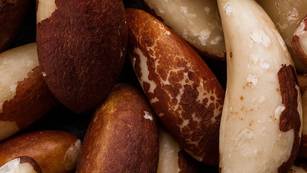 Orzechy brazylijskie i ich właściwości