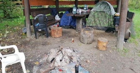 Rumuńscy grzybiarze. Leśnicy pokazali zdjęcie z Podkarpacia