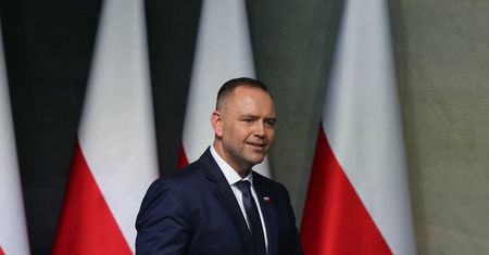 Ostrzega Nawrockiego przed spotkaniem. "Jedzie do 'największego goryla'"