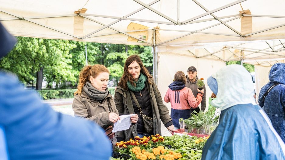 Jadalny Kraków Fest na Wesołej. Można tu było m.in. zakupić świeże warzywa i owoce. Nie zabrakło również warsztatów ogrodniczych, zabaw dla dzieci i koncertów.
