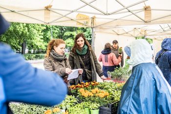 Świeże warzywa, owoce, koncerty oraz... życie jeży. Jadalny Kraków Fest urządzono na Wesołej