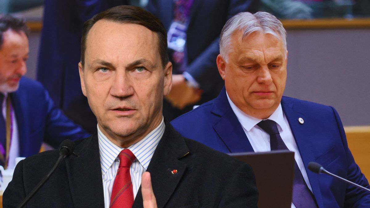 Sikorski o zatrzymaniu na Węgrzech