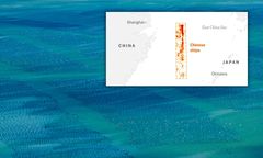 Chiny "po cichu" stworzyły barierę na morzu. W użyciu ponad 1,4 tys. łodzi