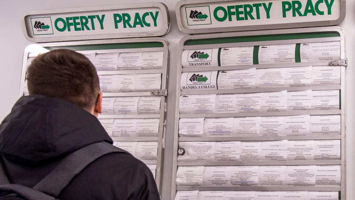 Uprawnienia osoby bezrobotnej – jakie prawa ma osoba pozostająca bez pracy?