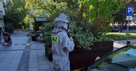 Chmara os w centrum Warszawy. Pomoc przyszła w porę