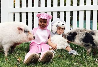Dzieci i zwierzęta w takich samych kostiumach (ZDJĘCIA)