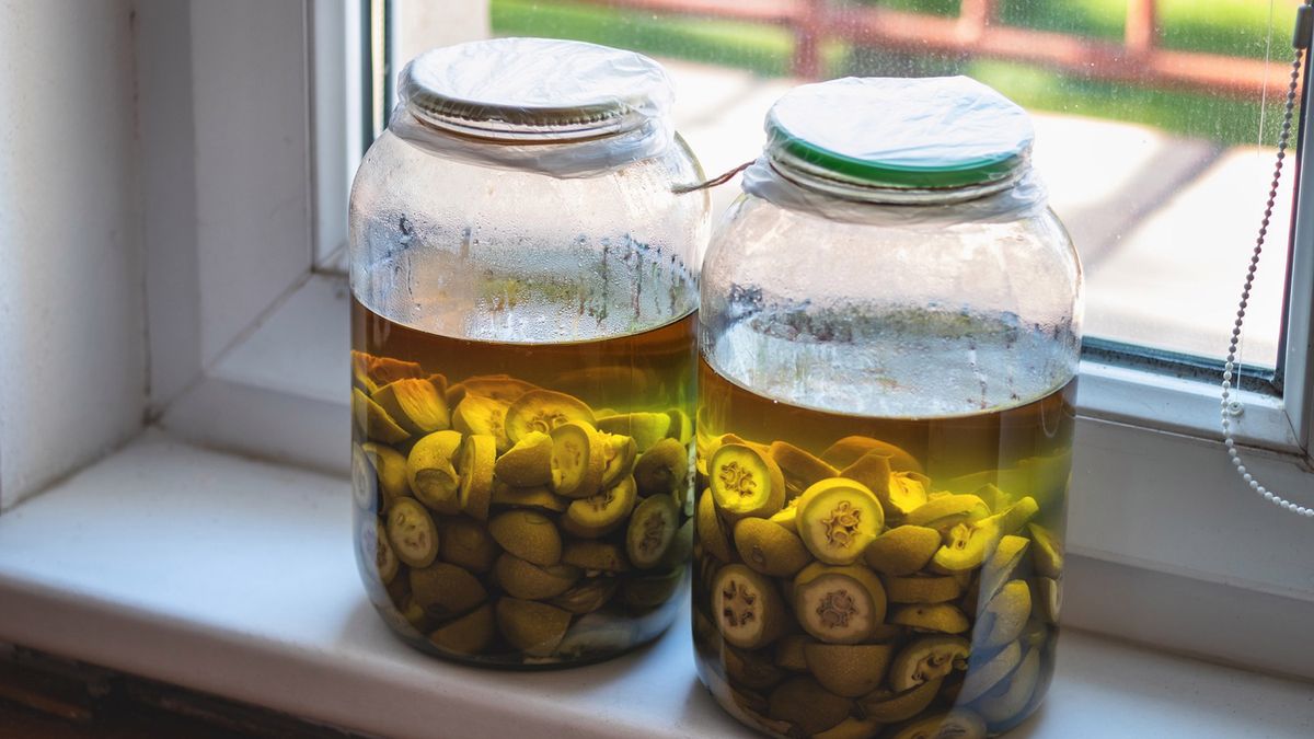 Nalewka z zielonych orzechów włoskich. Teraz jest najlepszy czas, żeby ją przygotować