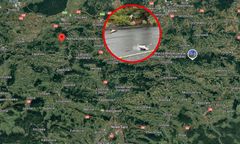 Tragiczny los bocianów po nawałnicy. Młode nie przeżyły