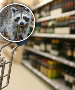 Włamał się do sklepu i wypił alkohol. Schronisko zarobiło fortunę