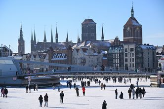 Rząd chce zlikwidować gigantyczną szarą strefę. Oto jaki jest plan