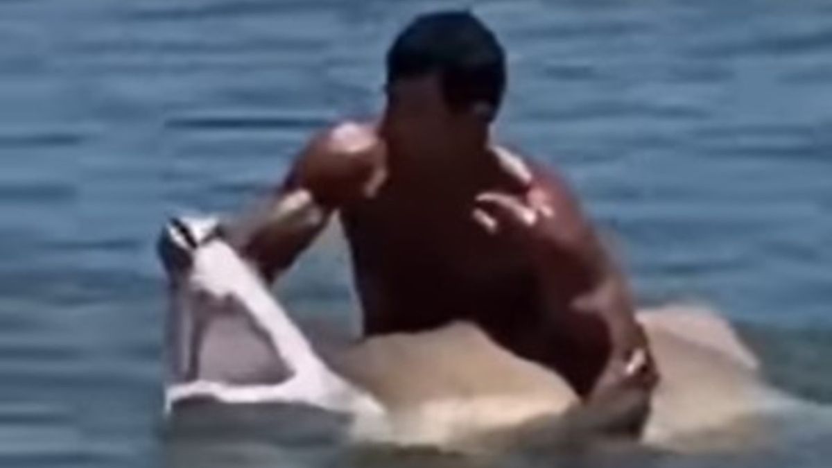 Mężczyzna chwycił pysk rekina gołymi rękami