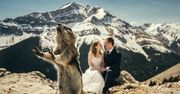 Zdjęcia ślubne ze zwierzętami zyskują coraz większą popularność. Są urocze!