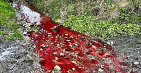 Widok jak z horroru. Mieszkańcy Łodzi zaniepokojeni