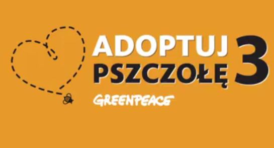 „Adoptuj pszczołę” trzeci raz w kampanii Greenpeace Polska (wideo)