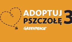 „Adoptuj pszczołę” trzeci raz w kampanii Greenpeace Polska (wideo)