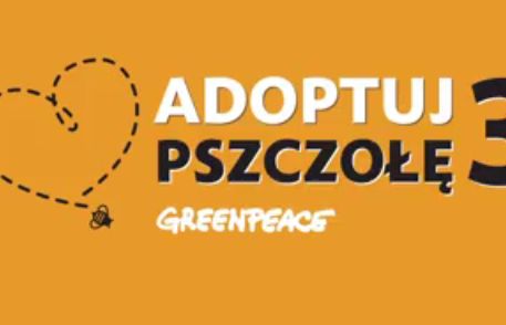 „Adoptuj pszczołę” trzeci raz w kampanii Greenpeace Polska (wideo)
