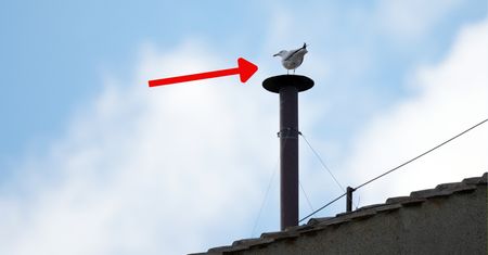 Oczy wszystkich na komin. Pojawił się niespodziewany gość