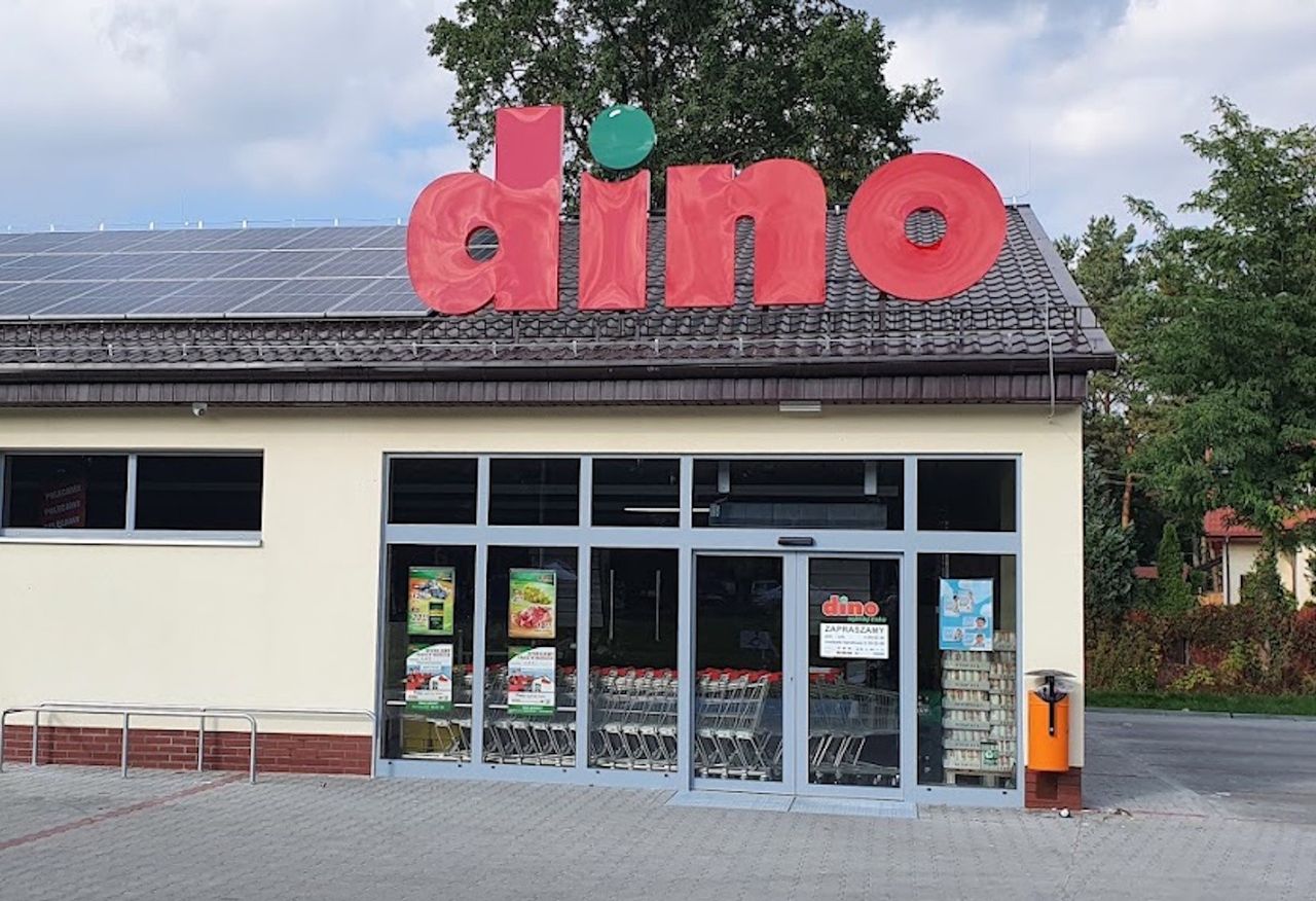 2,89 zł za sztukę w Dino. Cena regularna to niemal 6 zł