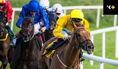 Betclic klientem Komunikacji Plus PR