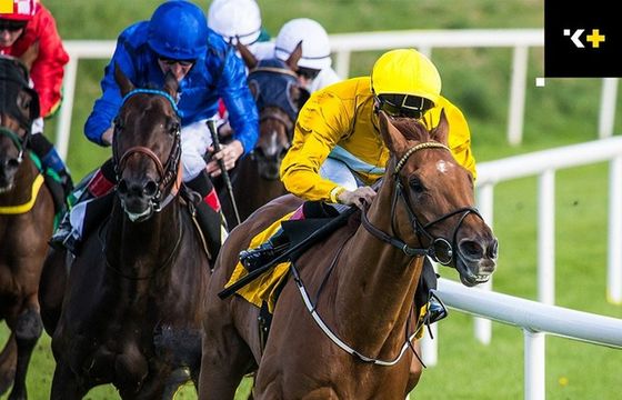 Betclic klientem Komunikacji Plus PR