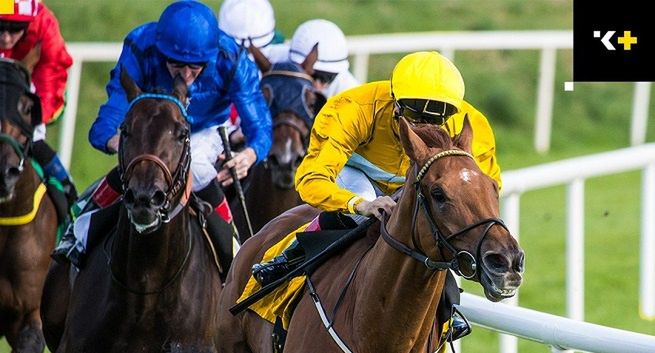 Betclic klientem Komunikacji Plus PR