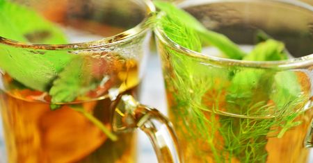 Lasy państwowe polecają naturalny napar. Idealny na przeziębienie