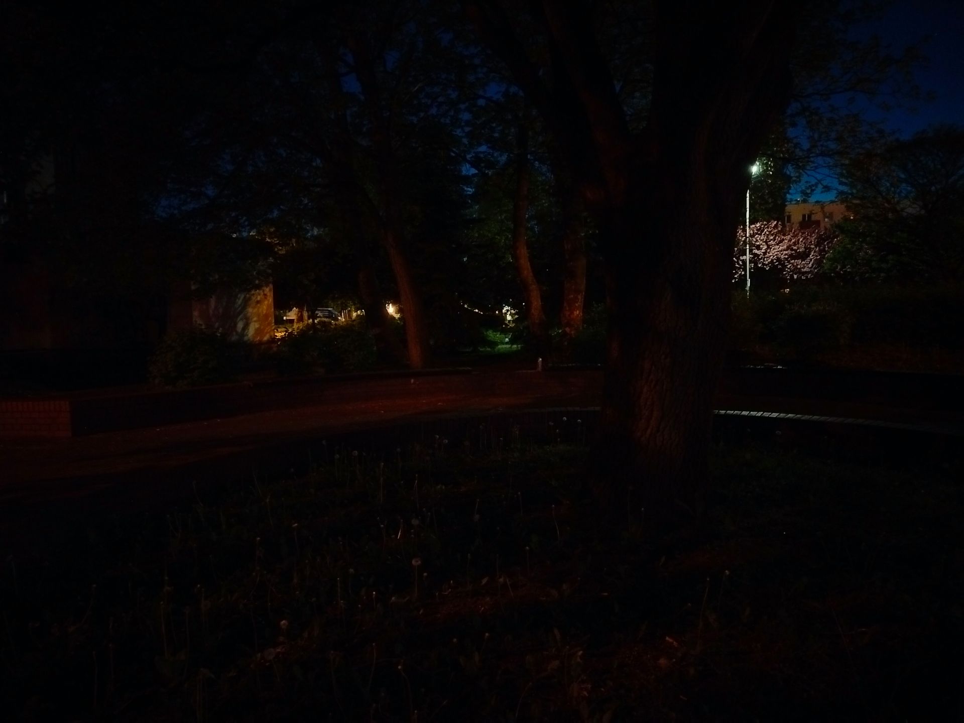 realme 9 to smartfon świetnie wyceniony, ale... nieopłacalny. Już tłumaczę 46