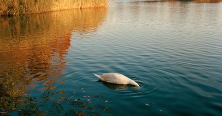 Lista 30 fotografów, na których warto zwrócić uwagę w nadchodzącym roku