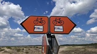 Velo Pustynia zachwyca - to unikat na całą Europę! Rowerzyści pokochali Pustynię Błędowską. Właśnie pojawiła się tam nowość. Zobacz zdjęcia