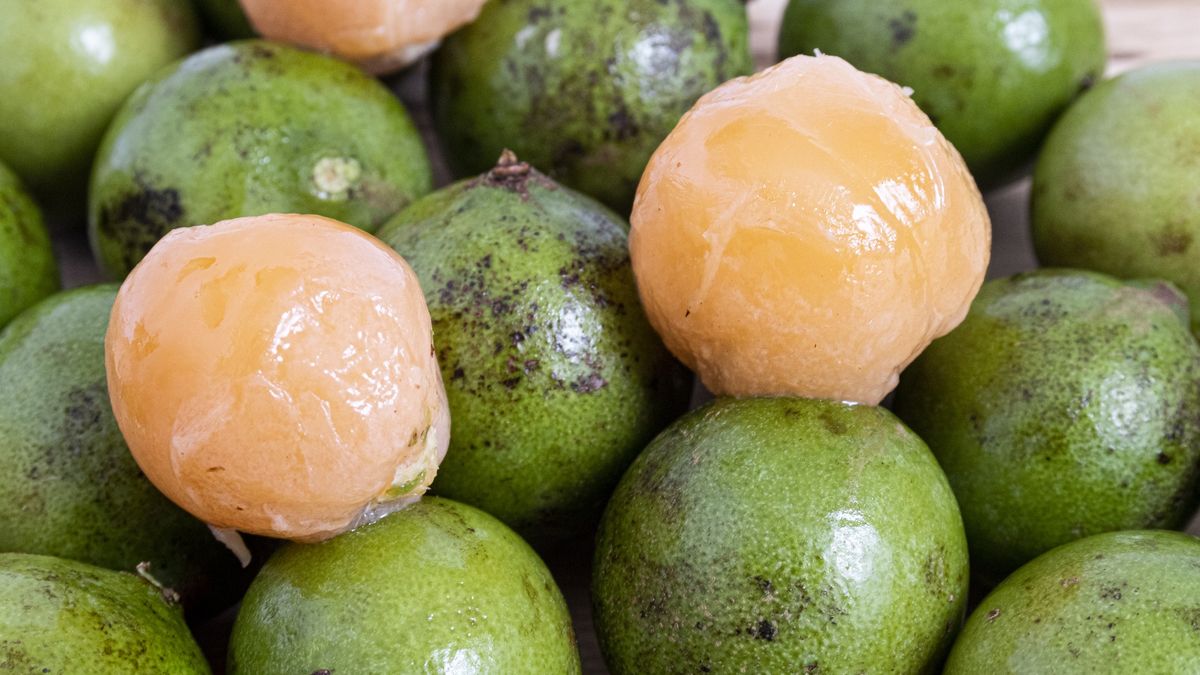 Quenepa fruit- Mamon
Quenepa fruit- Mamon  on chopping board
Arnoldo Robert