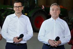 4 mln ton zboża, paszy i nasion oleistych z Ukrainy. Wiemy, co i kiedy wjeżdżało